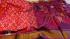 COTTON X KORA SILK TIE DYE SAREES CHINNLAPATTI